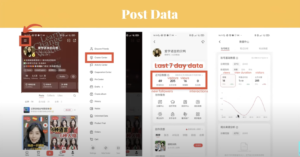 xiaohongshu analytics